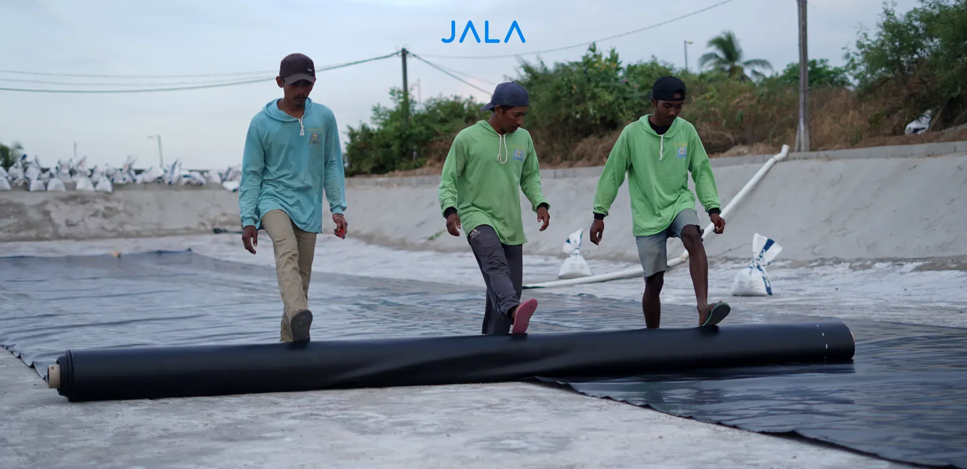 4 Types of Plastic Used in Shrimp Farming