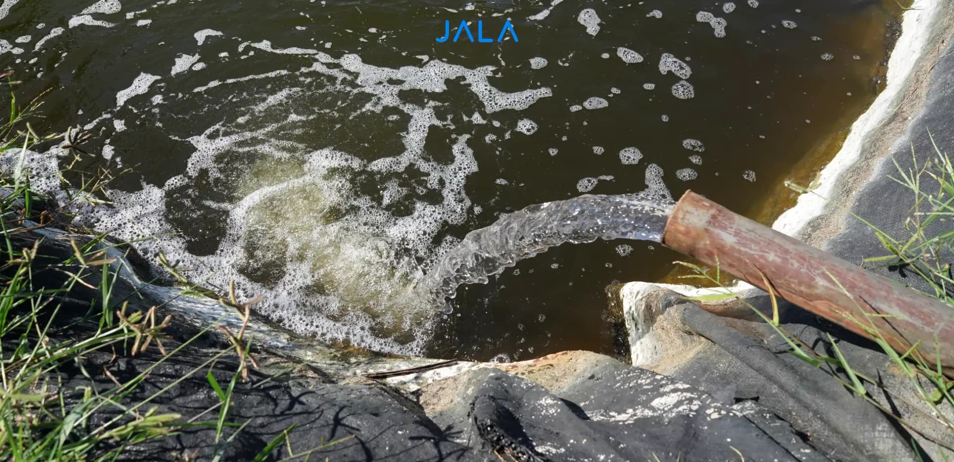 Optimizing Bore Well Water Sources for Shrimp Farming