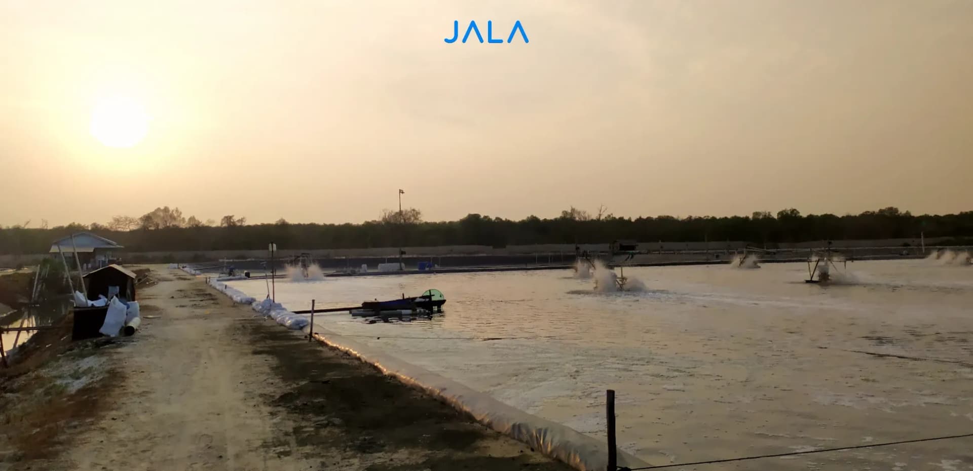 Cover - WSSV di Pantai Utara Jawa.webp