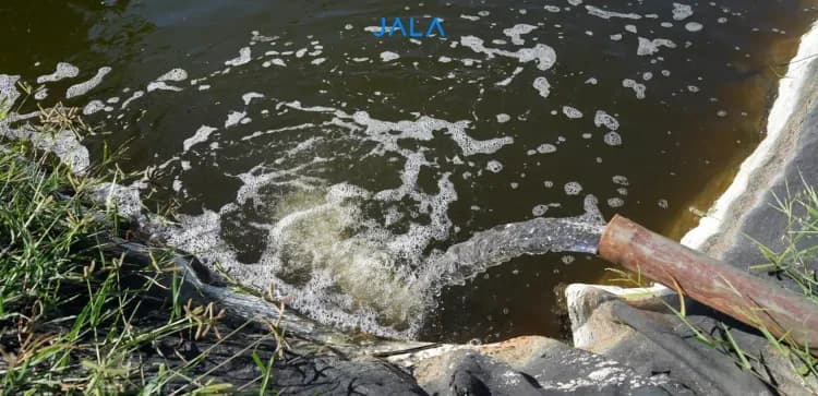 Hidden Threats Behind Murky Water in Shrimp Ponds