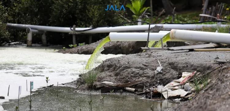 Shrimp Farming Made Safer, A Complete Guide to Waste Management