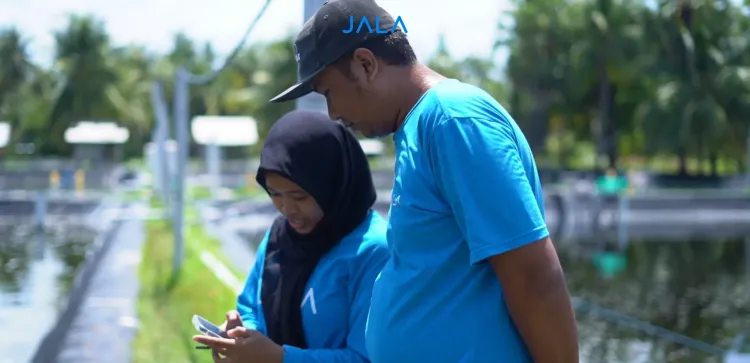 Save Time to Record Farming Data with the Smart Input Feature on JALA App