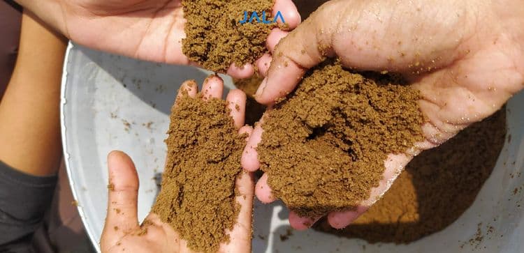 Efisiensi budidaya dengan memperhatikan FCR