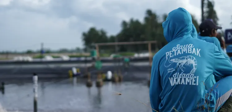 Cover - Monitoring Tambak Udang.webp