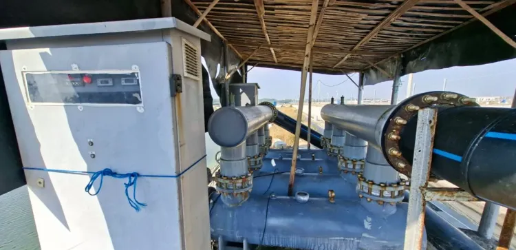 How to Optimize UV Lights in Shrimp Cultivation: Installation Alone Isn't Enough